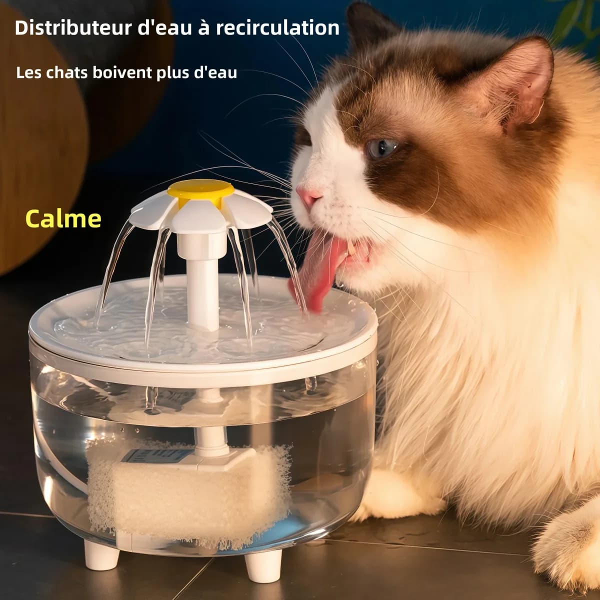 Fontaine à eau silencieuse pour chat USB 1,2 L