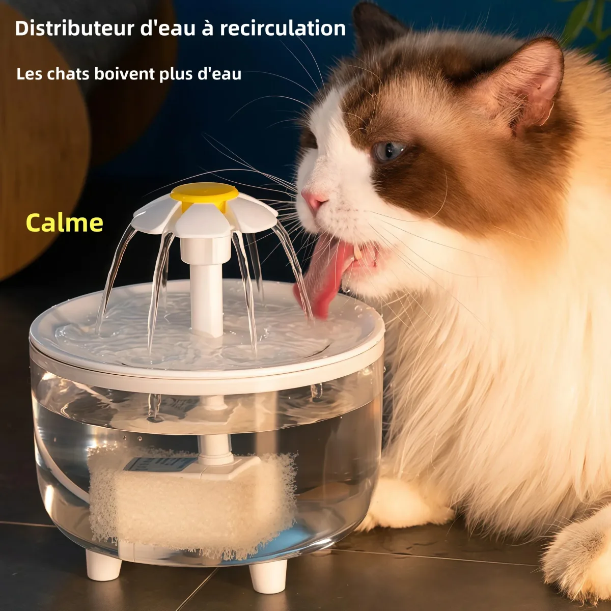 Fontaine à eau silencieuse pour chat USB 1,2 L